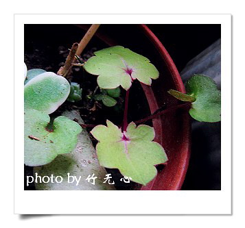 �ɱ�ȥ������~