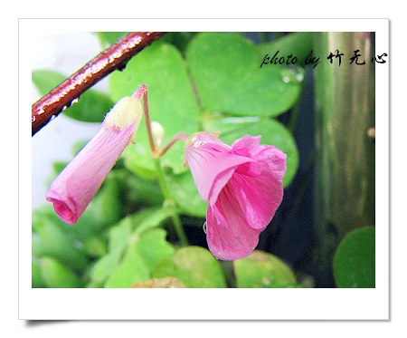 �ɱ�ȥ������~