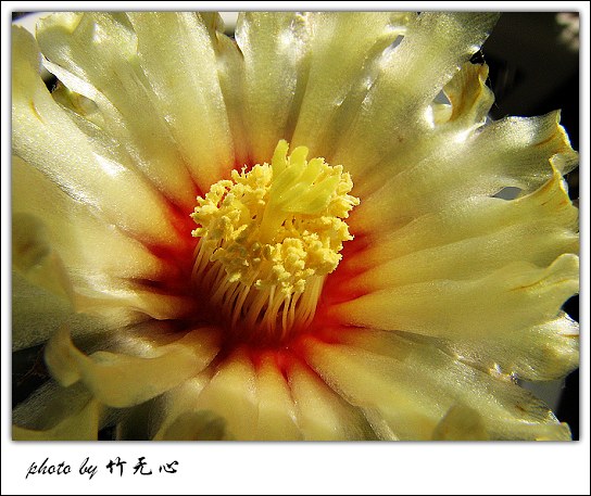 �ɱ�ȥ������~