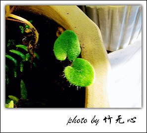 �ɱ�ȥ������~