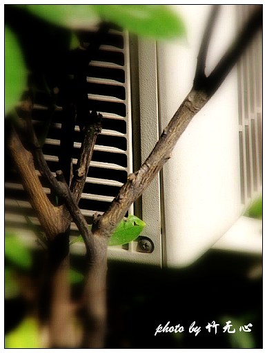 �ɱ�ȥ������~