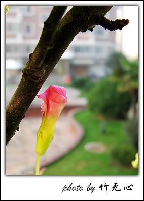 �ɱ�ȥ������~