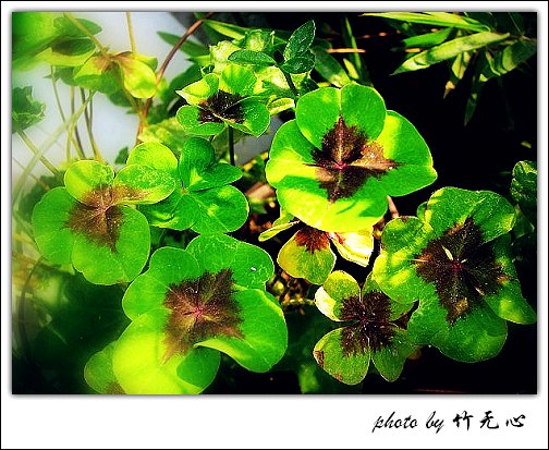 �ɱ�ȥ������~