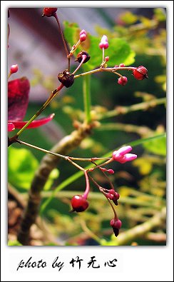 �ɱ�ȥ������~