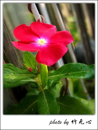 �ɱ�ȥ������~