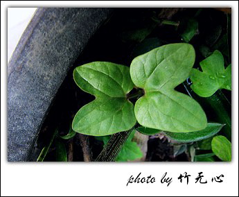 �ɱ�ȥ������~