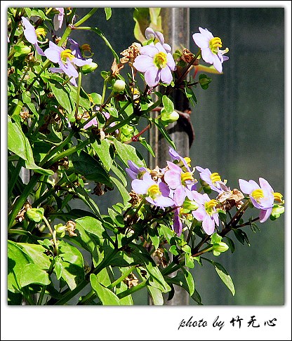 �ɱ�ȥ������~