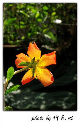 �ɱ�ȥ������~