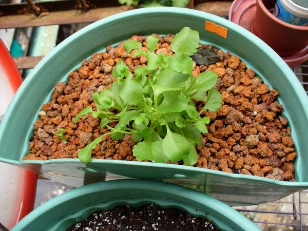 һ���ڹ��������ż���С����