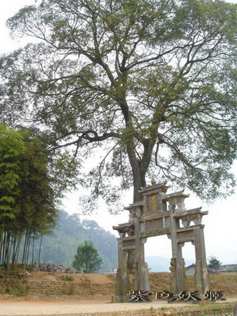 ����С�μ�