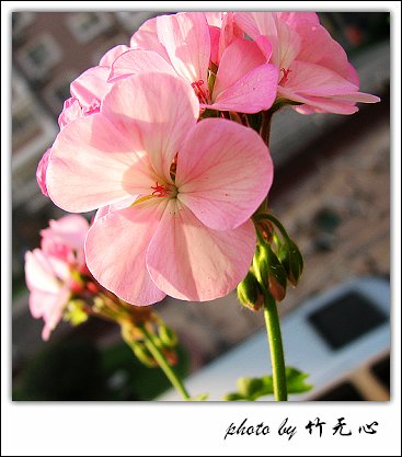 �ɱ�ȥ������~