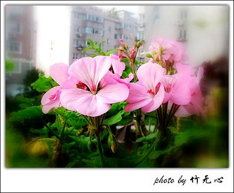 �ɱ�ȥ������~