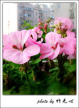 �ɱ�ȥ������~