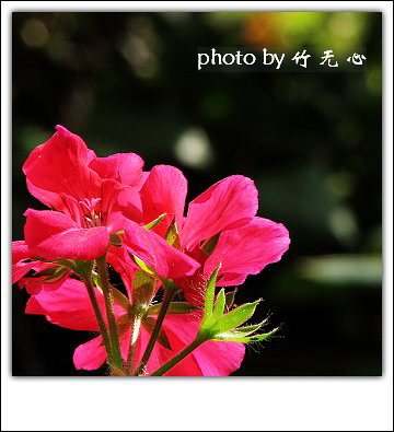 �ɱ�ȥ������~