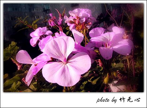 �ɱ�ȥ������~