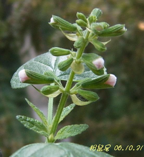 С�������ڳɳ���10/23����~P21��