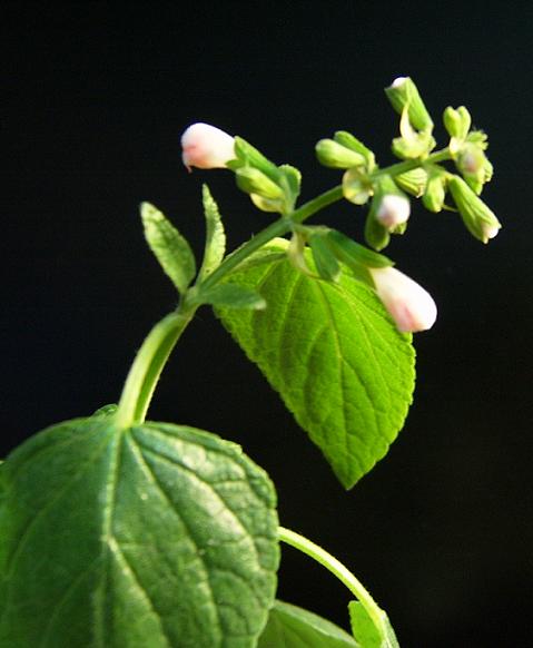 С�������ڳɳ���10/23����~P21��