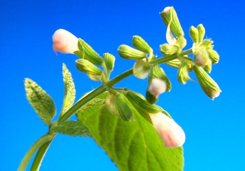 С�������ڳɳ���10/23����~P21��