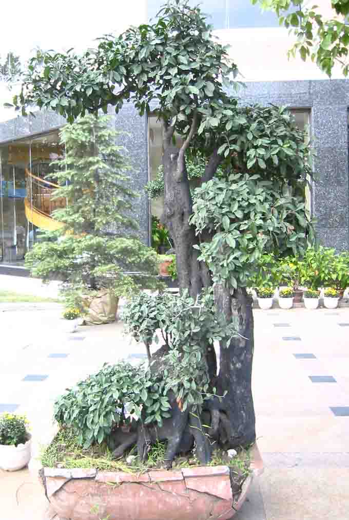 �����辰չ�ϵ�ľ��