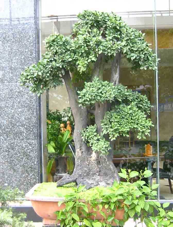 �����辰չ�ϵ�ľ��