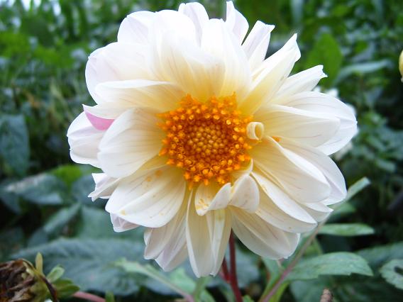 2006��ķ���~(ȫ�����ǿ�����~)