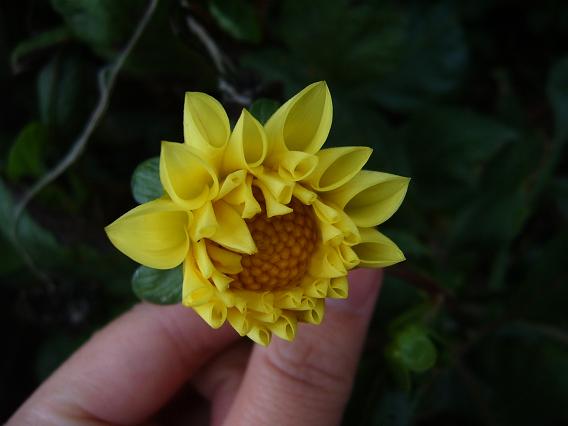 2006��ķ���~(ȫ�����ǿ�����~)