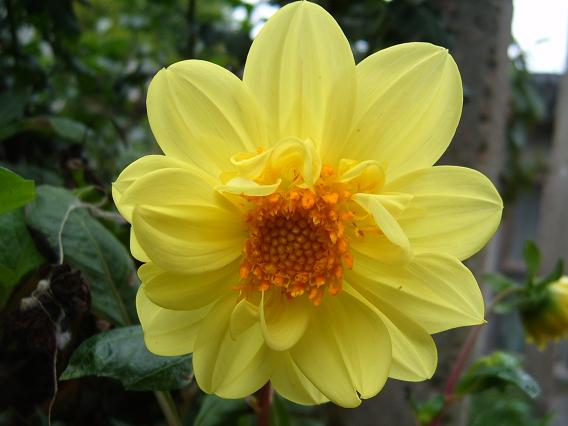 2006��ķ���~(ȫ�����ǿ�����~)