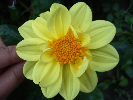 2006��ķ���~(ȫ�����ǿ�����~)