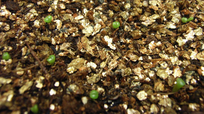 ��ѿ�������������ְ����󣺣���