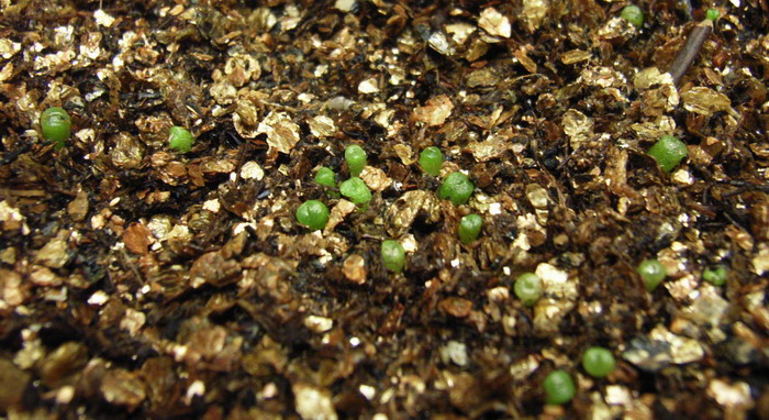 ��ѿ�������������ְ����󣺣���