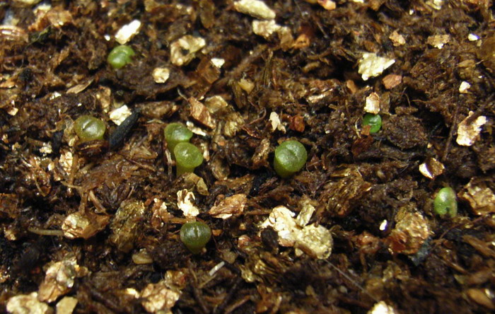 ��ѿ�������������ְ����󣺣���