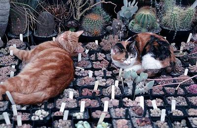 ��ѿ�������������ְ����󣺣���