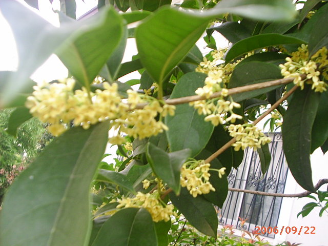 �ҼҴ���Ժ��P3������