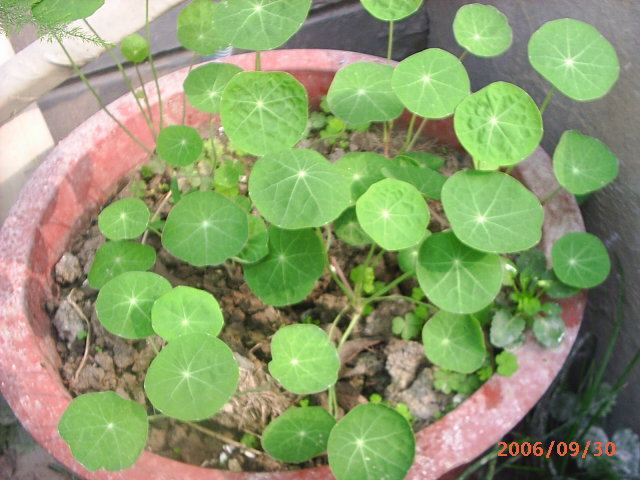 �ҼҴ���Ժ��P3������