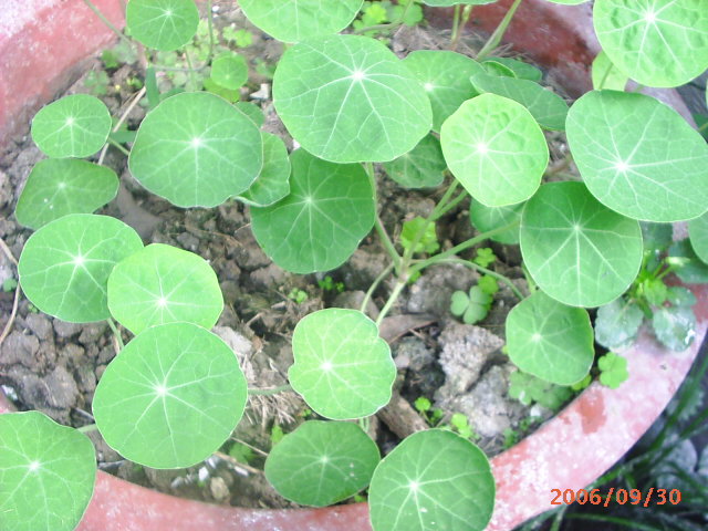 �ҼҴ���Ժ��P3������