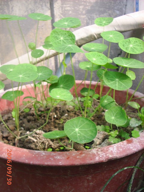 �ҼҴ���Ժ��P3������