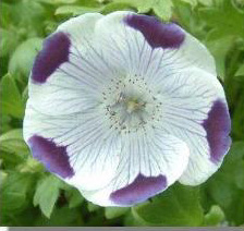 �����ˬ�������ǿ�ʼ��ѿ��