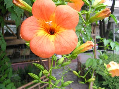 �ҵķۻ�����