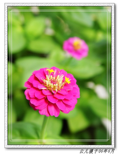 ����ƪ----�¹���������