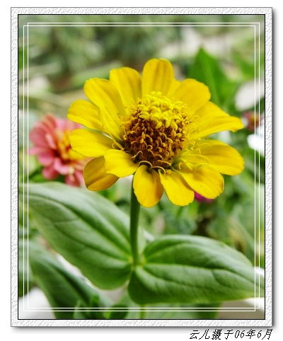 ����ƪ----�¹���������