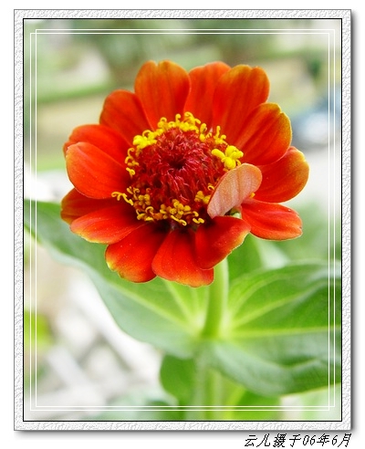 ����ƪ----�¹���������