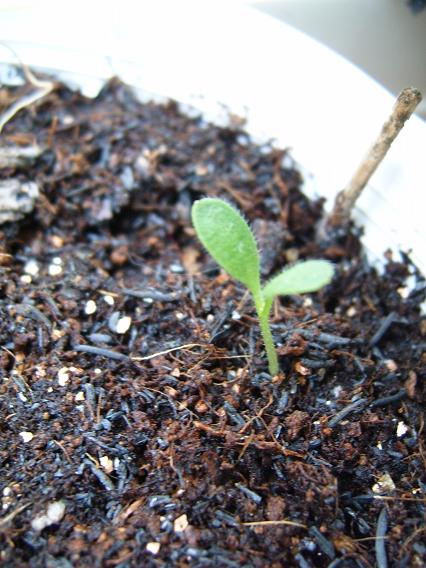 �����ˬ�������ǿ�ʼ��ѿ��