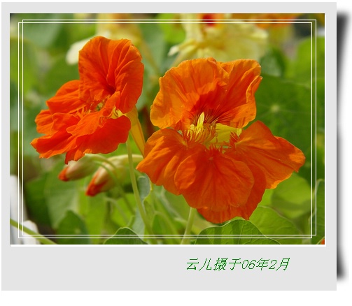 ����ƪ----�¹���������