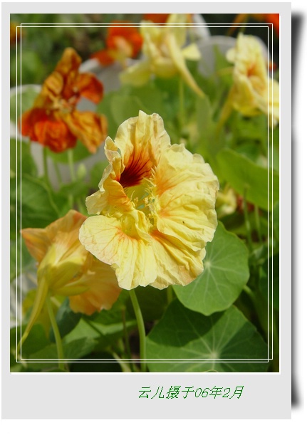 ����ƪ----�¹���������