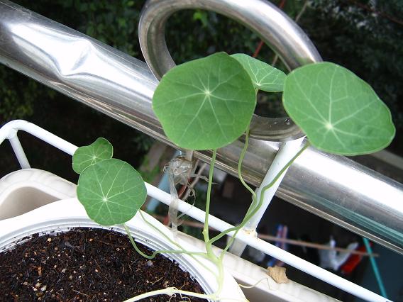 �ɰ��Ľ���(������Ҳ������40���  10ҳ)