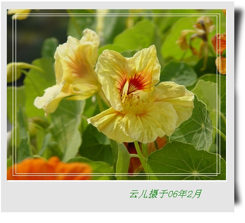 ����ƪ----�¹���������