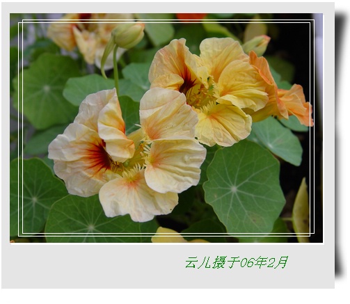 ����ƪ----�¹���������