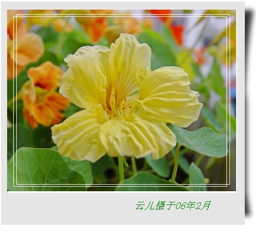 ����ƪ----�¹���������