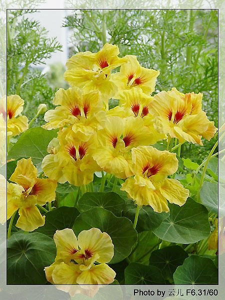 ����ƪ----�¹���������