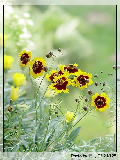 ����ƪ----�¹���������